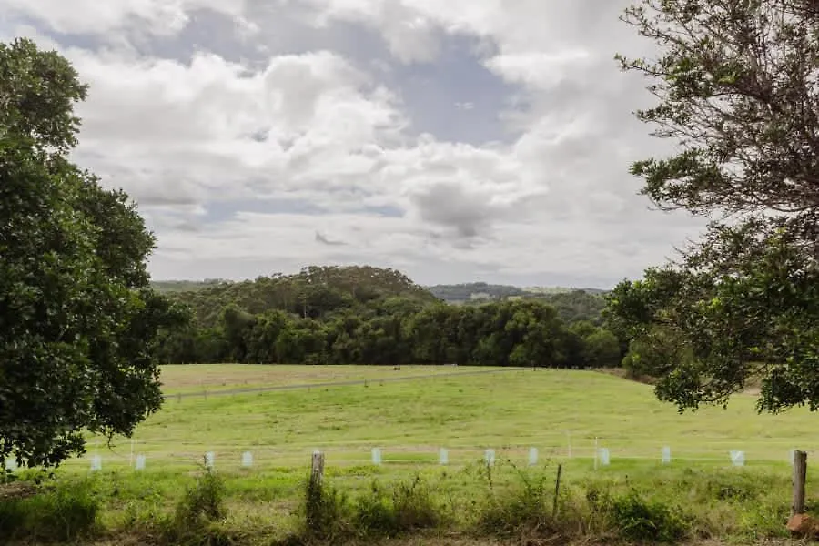 8 Farm Macadamia Plantation 1 By Tiny Away Villa Cumbalum