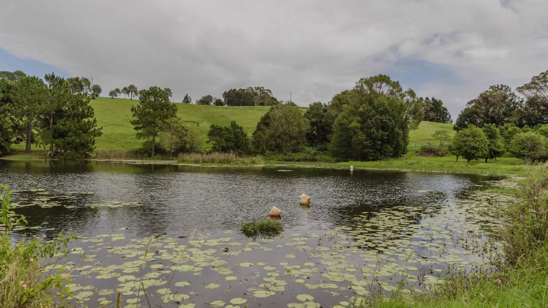 8 Farm Macadamia Plantation 1 By Tiny Away Villa Cumbalum